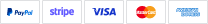 payment we accept image